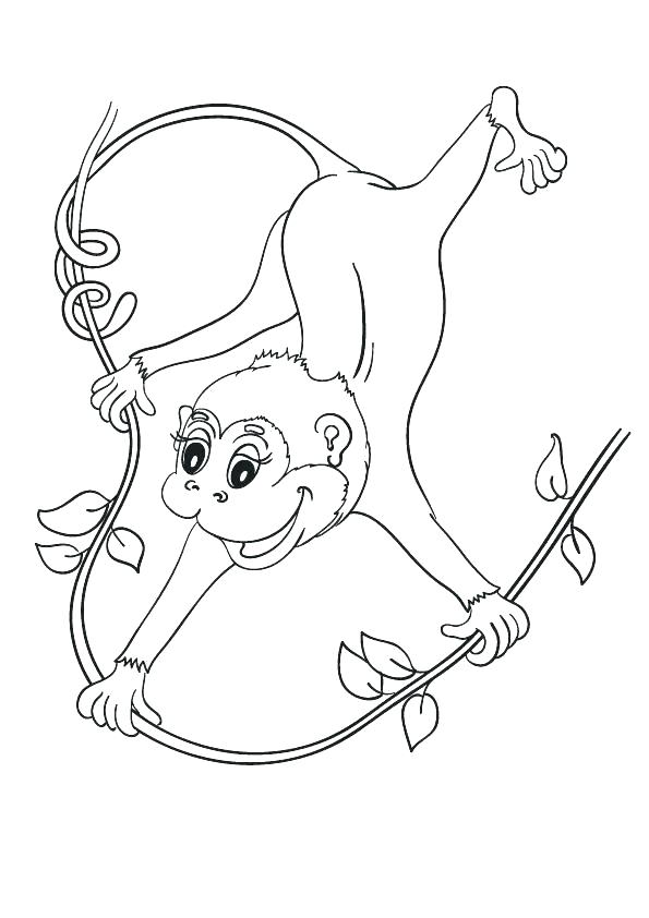 595x842 Cartoon Monkey Coloring Pages