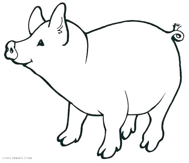 618x533 Cute Pig Coloring Pages S Cute Pig Colouring Pages