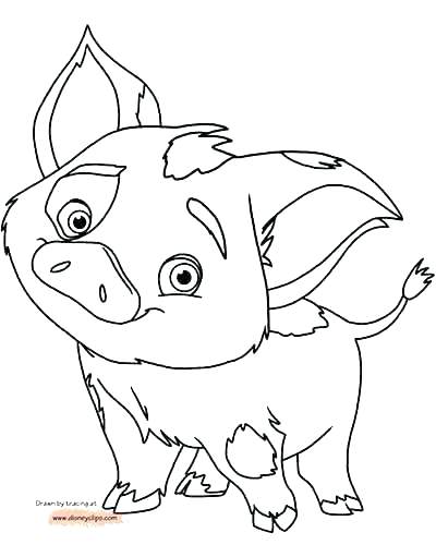 400x511 Coloring Pages Of Pigs Also Coloring Pages Of Pigs Pig Coloring