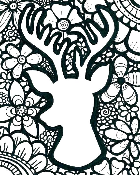 570x713 Whitetail Deer Coloring Pages Deer Coloring Page Whitetail Deer