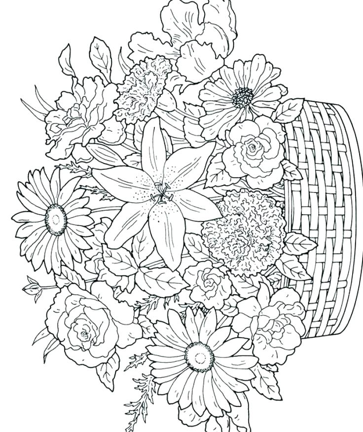 Free Advanced Coloring Pages Detailed Printable For Adults Adult 736x875 Free Advanced Coloring Pages Detailed Printable For Adults Adult