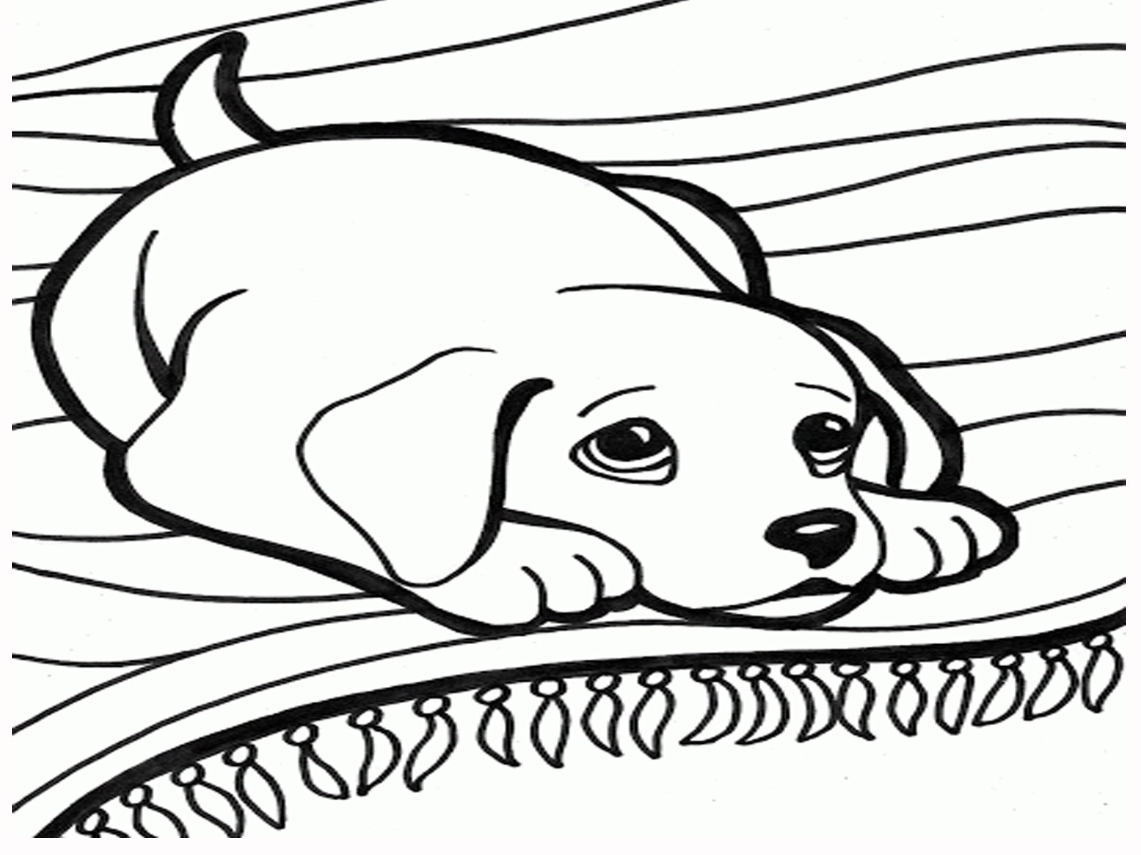 1600x1200 Dog Cat Coloring Pages Dogs Cats Dog