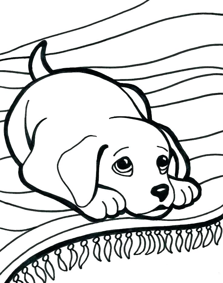 736x931 Dogs Coloring Pages Also Dog Type Coloring Pages Dog And Cat Dogs