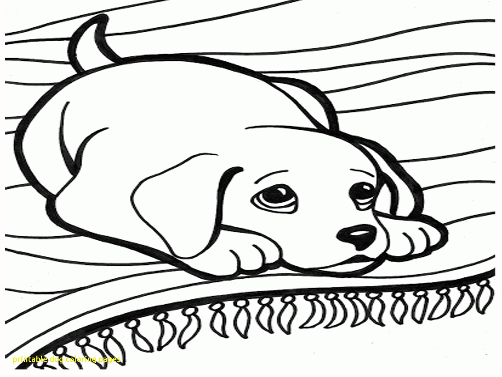 1600x1200 Printable Dog Coloring Pages With Coloring Pages Dogs And Cats