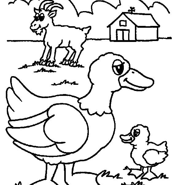 Farm Animal Coloring Pages For Preschoolers Coloring Pages 576x600 Farm Animal Coloring Pages For Preschoolers Coloring Pages