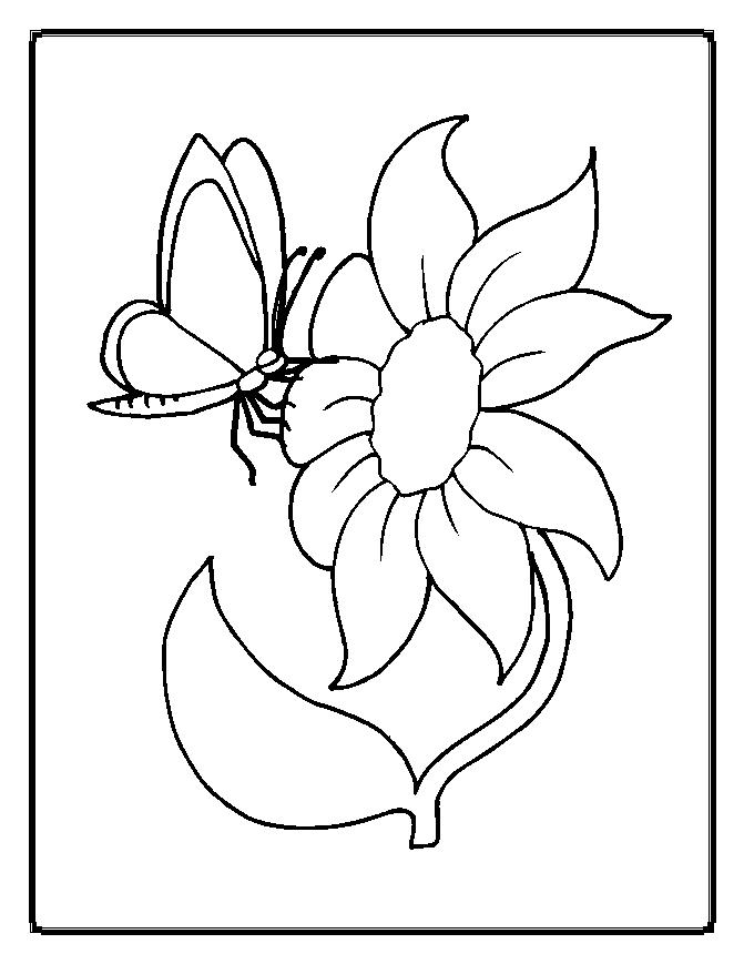 Coloring Pages Of Flowers And Butterflies
