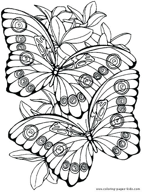 Coloring Pages Of Flowers And Butterflies Plus Adult Coloring 484x648 Coloring Pages Of Flowers And Butterflies Plus Adult Coloring