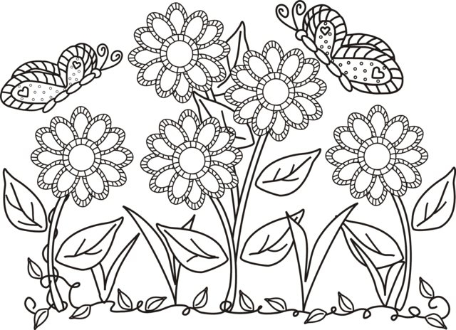 Coloring Pages. Coloring Pages Flowers And Butterflies 640x464 Coloring Pages. Coloring Pages Flowers And Butterflies