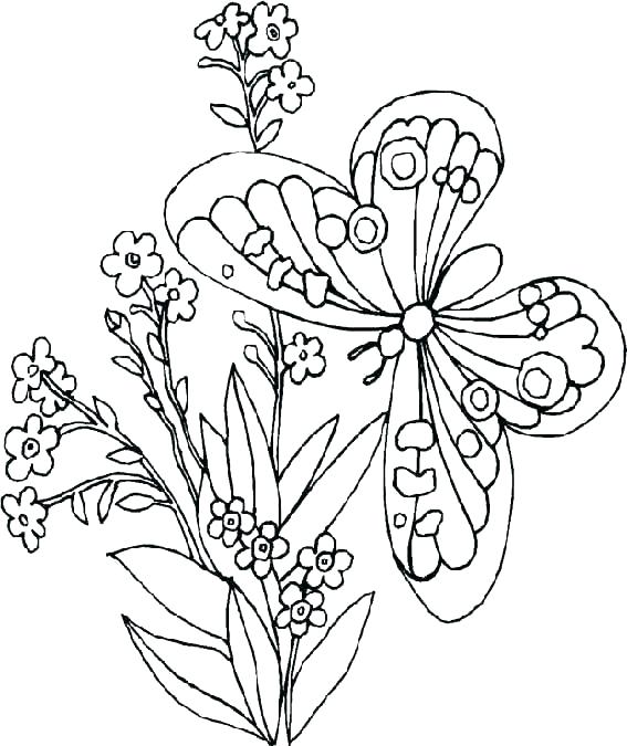 Coloring Pages Of Flowers And Butterflies at GetColorings.com | Free ...