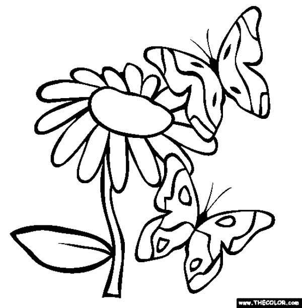 Two Butterflies Surrounding The Flowers Coloring Page 600x612 Two Butterflies Surrounding The Flowers Coloring Page