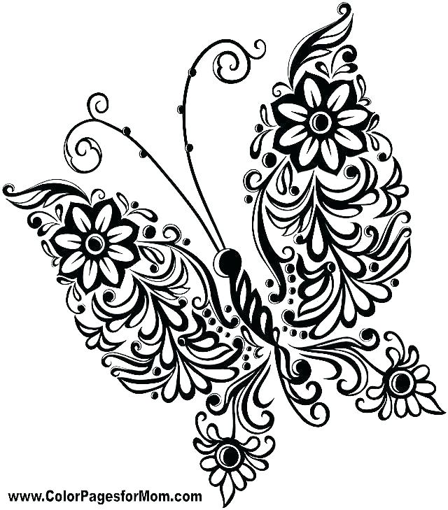 Coloring Pages Flowers And Butterflies Butterfly And Flower 640x729 Coloring Pages Flowers And Butterflies Butterfly And Flower