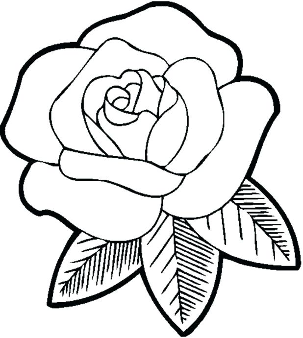 618x690 Printable Rose Coloring Pages Free Rose Coloring Pages Roses