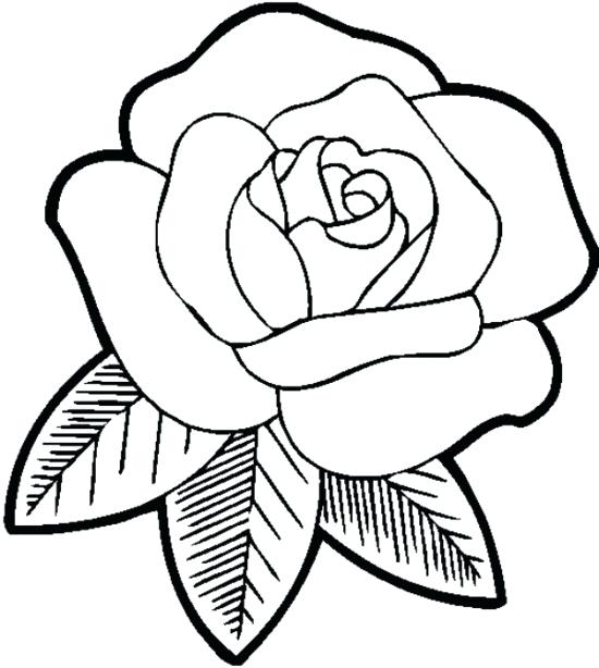 550x614 Roses Coloring Page Roses Coloring Pages Roses Coloring Pages 2
