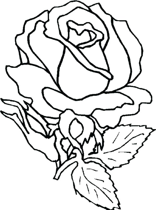 600x805 Beautiful Flower Coloring Pages Cool Flower Coloring Pages Pretty