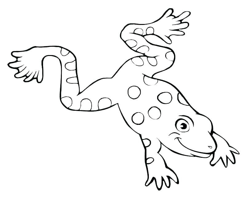 800x660 Frogs Coloring Pages Coloring Page For Five Green And Speckled