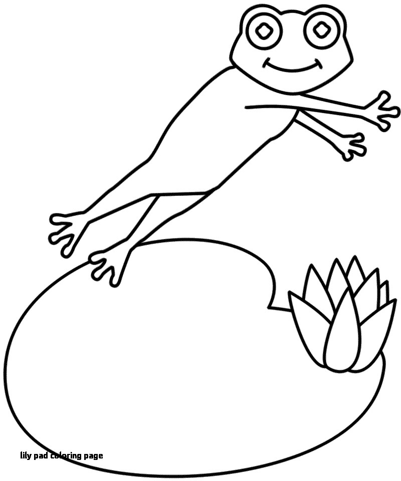 800x960 Lily Pad Coloring Page