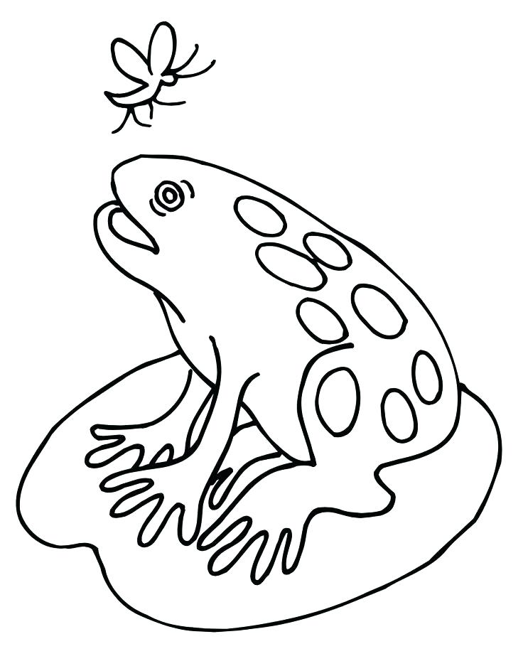 736x937 Lily Pad Coloring Page Lily Pads Coloring Page For Our Family