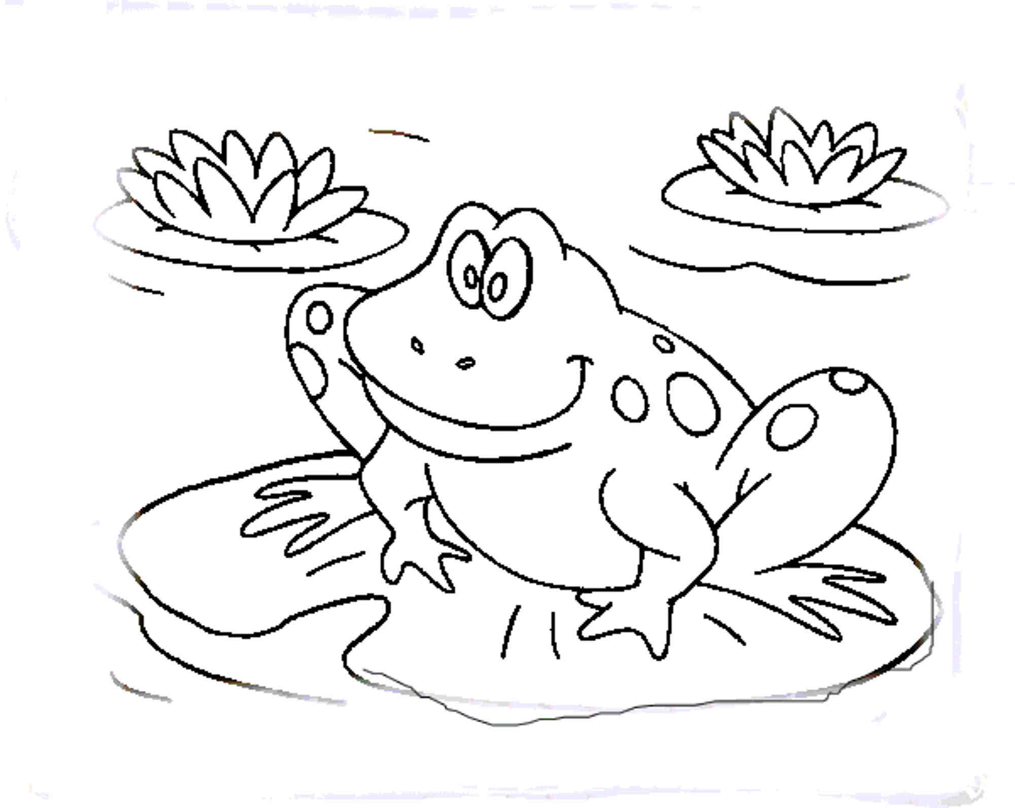 2000x1593 Nice Coloring Picture Of A Frog 4