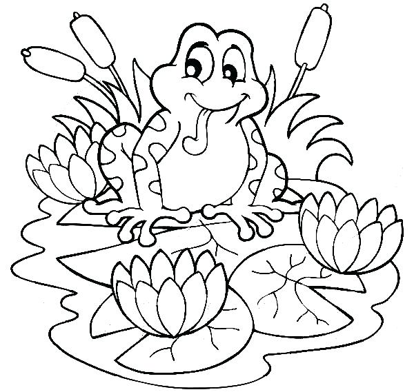 600x569 Coloring Pages Frog Frog Sitting On And Lotus Flower Coloring
