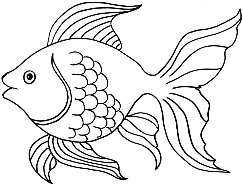 850x644 Free Coloring Pages Goldfish Page Printable Kids Mycosedesongles