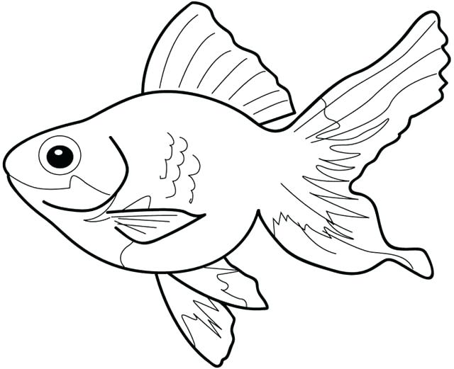 640x521 Goldfish Coloring Pages Goldfish Coloring Page Adult Coloring Book
