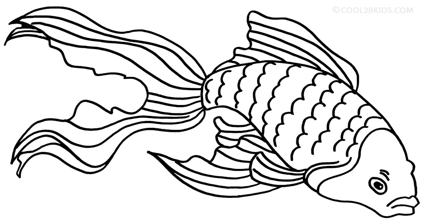 850x450 Printable Goldfish Coloring Pages For Kids Cool2bkids