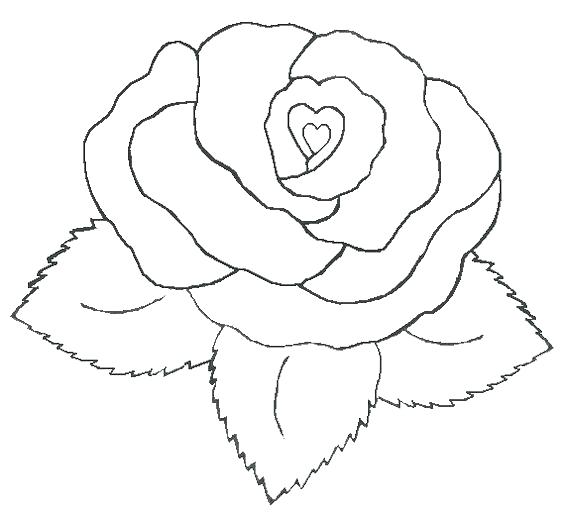 564x513 Extraordinary Heart And Roses Coloring Pages Heart Rose Coloring