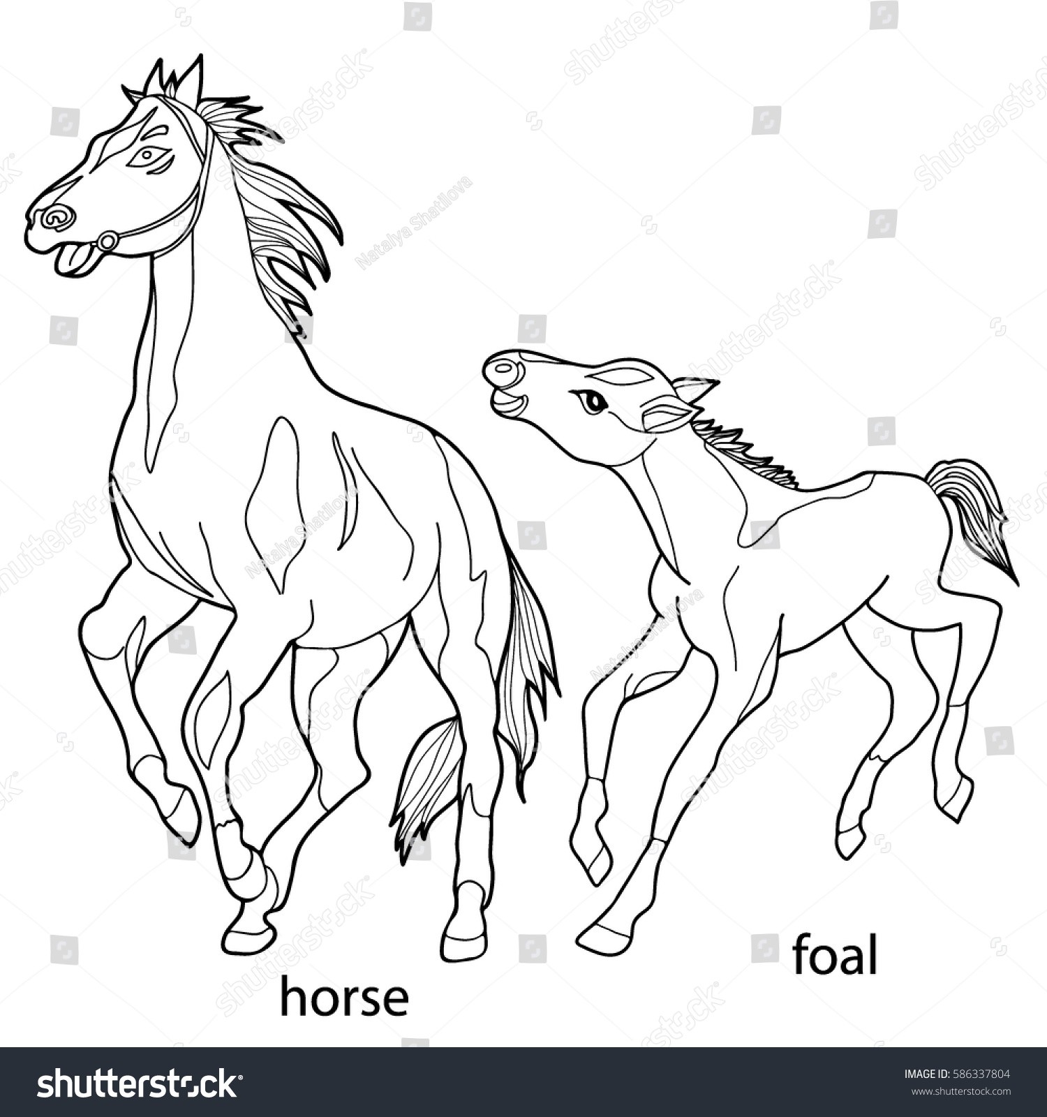 1500x1600 Coloring Pages Of Horses And Foals Lovely Adult Coloring Book Page