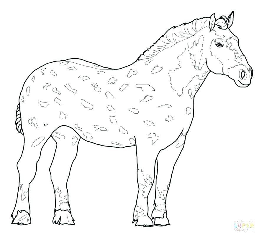 878x805 Horse Printable Coloring Pages Horse And Foal Free Printable Horse