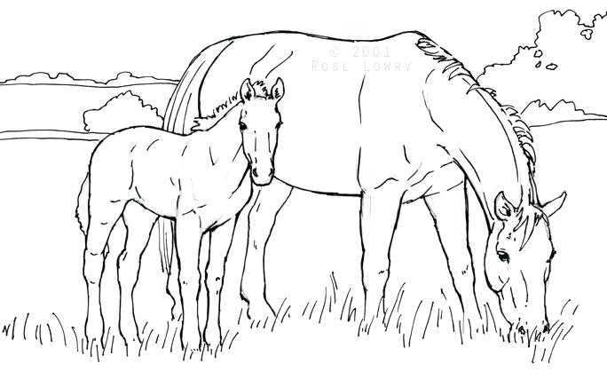 684x418 Mare And Foal Coloring Pages Filly Coloring Pages Colouring Pages