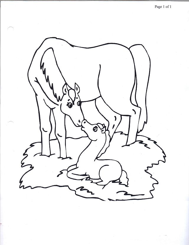 640x828 Coloring Pages Of Horses And Foals 519831