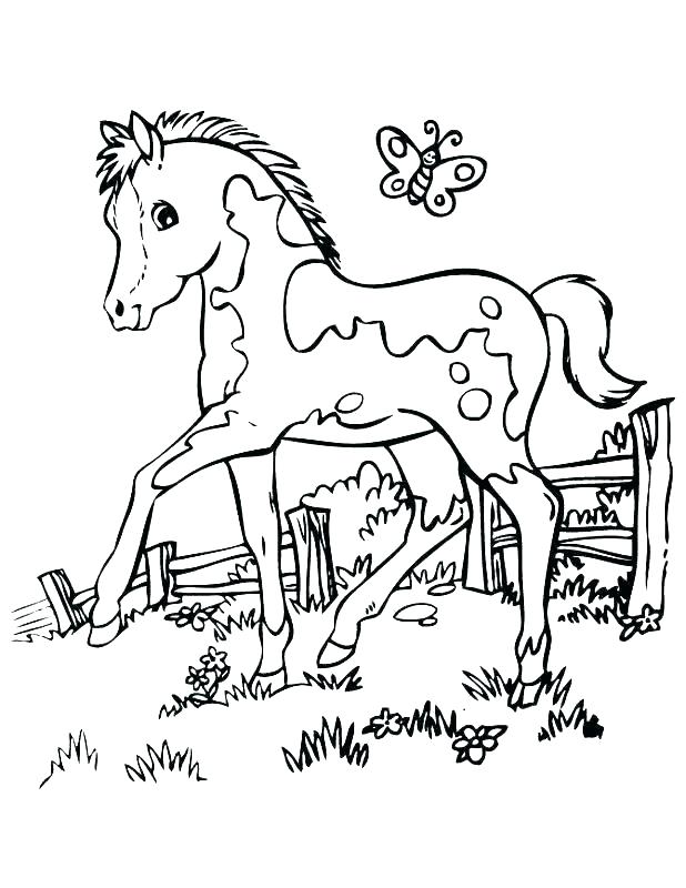 618x800 Coloring Pages Of Horses And Ponies Coloring Pages For Horses