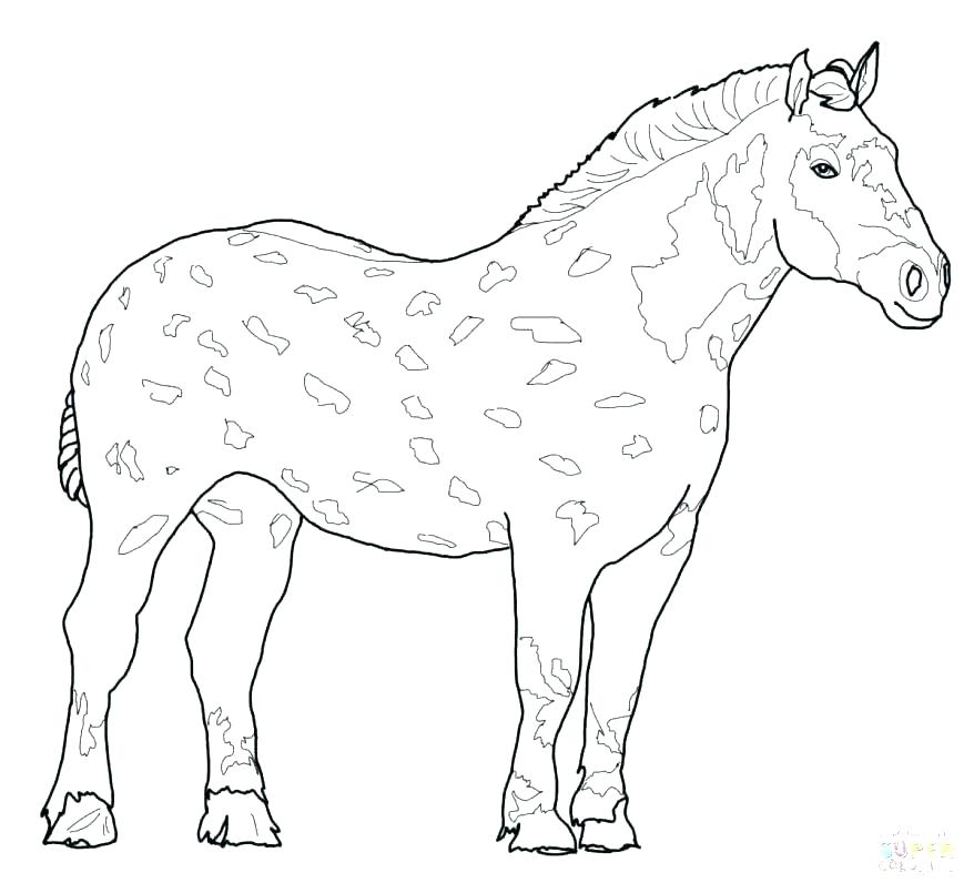 878x805 Horse And Pony Coloring Pages Free Coloring Pages Coloring Pages