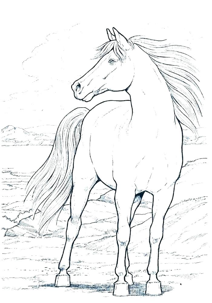 700x1000 Coloring Pages Horse Coloring Pages Horse Coloring Pages Coloring