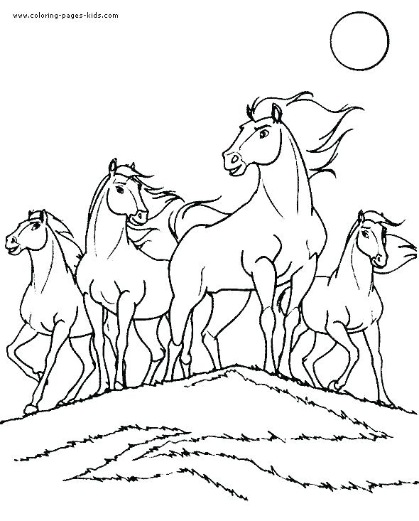 Coloring Pages Of Horses Printable Also Horses Coloring Pages 590x733 Coloring Pages Of Horses Printable Also Horses Coloring Pages