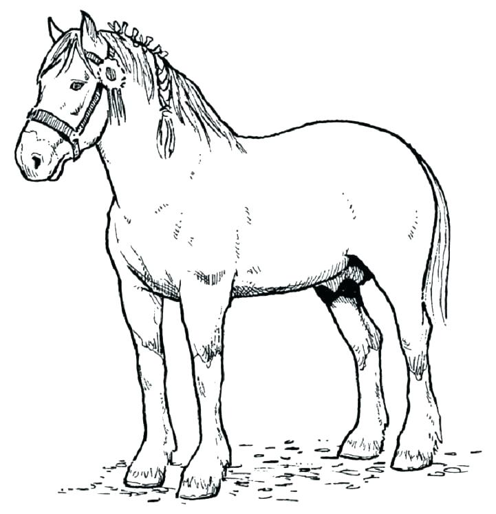 Free Printable Mustang Horse Coloring Pages Pa 721x747 Free Printable Mustang Horse Coloring Pages Pa