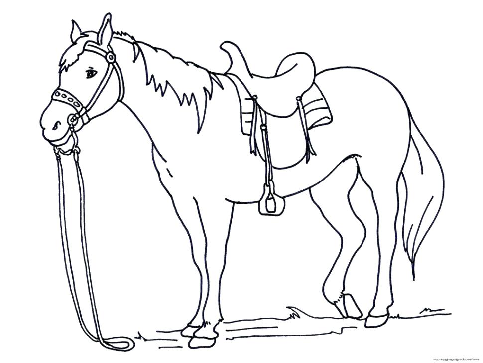Horse Coloring Pages With Galloping Horses Nice Horse Coloring 970x728 Horse Coloring Pages With Galloping Horses Nice Horse Coloring