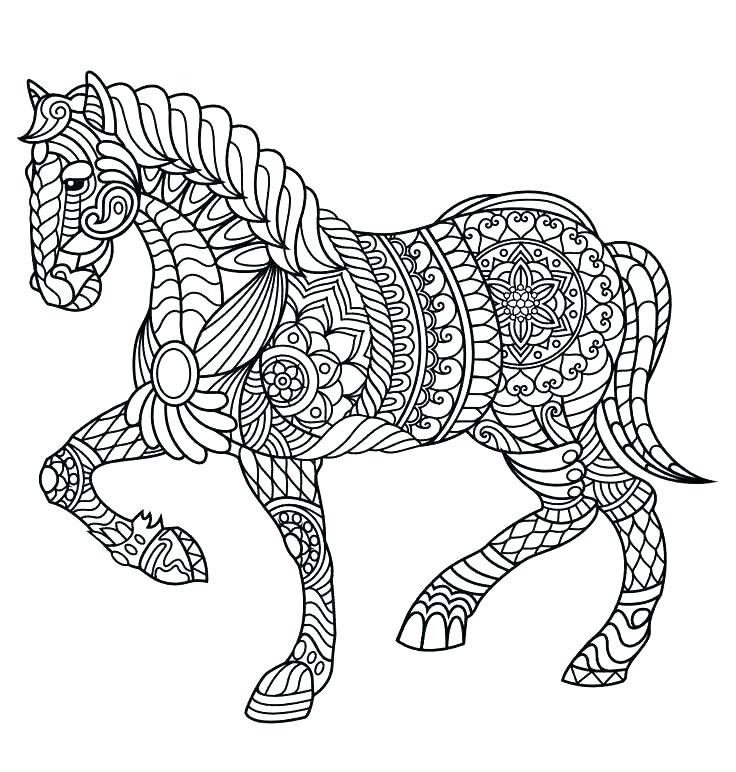 Horse Coloring Pages For Adults Shippa.co 736x772 Horse Coloring Pages For Adults Shippa.co