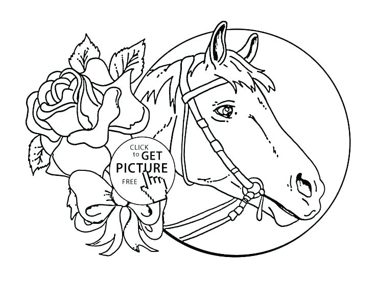 Horse Coloring Pages For Kids 736x551 Horse Coloring Pages For Kids