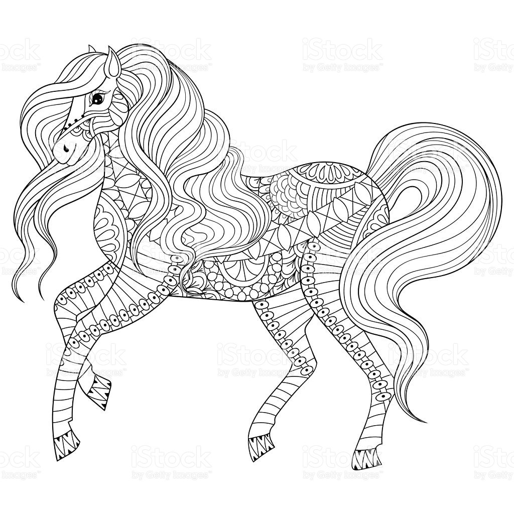 Adult Coloring Pages Horses Coloring Pages Inside Horse Acpra 1024x1024 Adult Coloring Pages Horses Coloring Pages Inside Horse Acpra