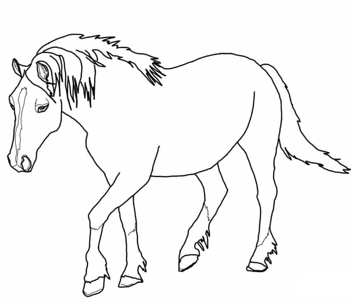 Printable Horse Pictures To Color