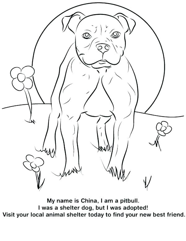 Husky Dogs Coloring Pages Spectacular Dog Color In Puppies 600x776 Husky Dogs Coloring Pages Spectacular Dog Color In Puppies