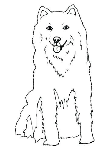 Amusing Husky Puppy Coloring Pages Husky Puppy Coloring Pages Page 360x480 Amusing Husky Puppy Coloring Pages Husky Puppy Coloring Pages Page