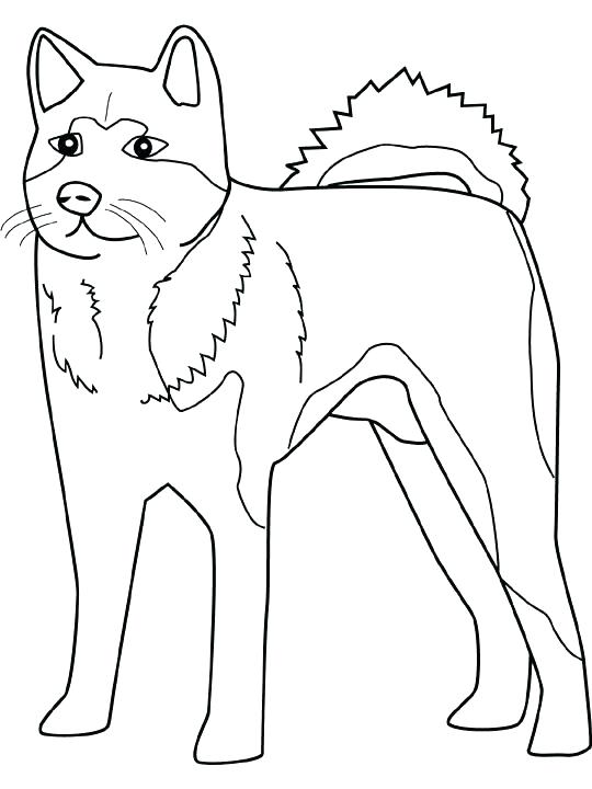 Realistic Puppy Coloring Pages 540x720 Realistic Puppy Coloring Pages