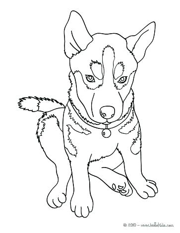Siberian Husky Coloring Pages Husky Coloring Pages Husky Dog 363x470 Siberian Husky Coloring Pages Husky Coloring Pages Husky Dog