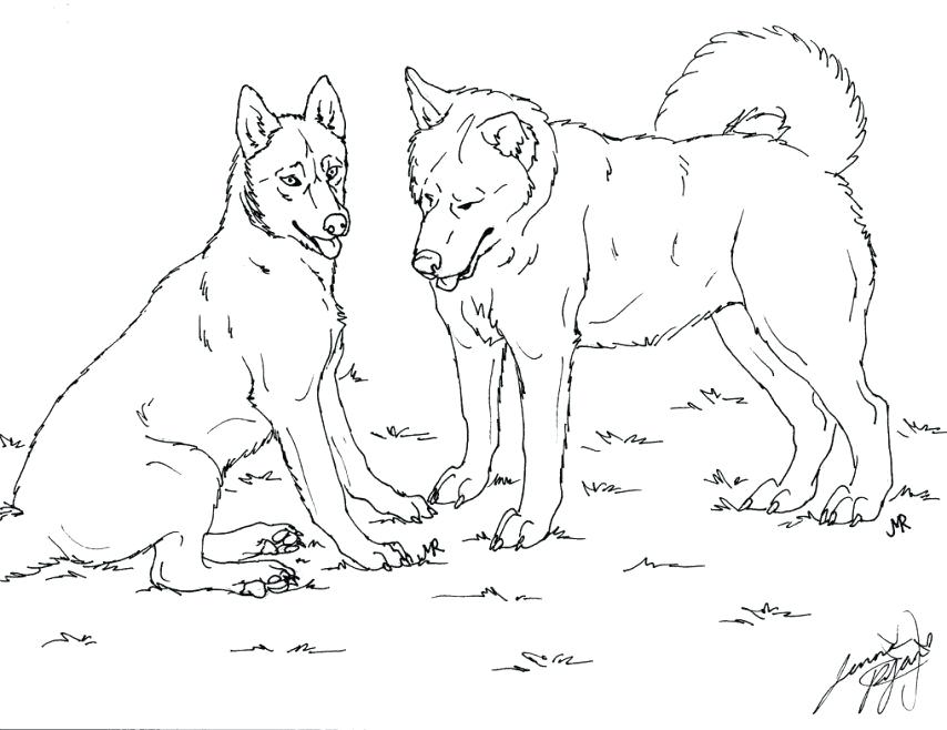 Husky Coloring Pages Printable 854x658 Husky Coloring Pages Printable