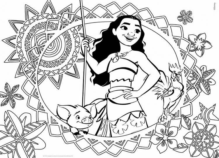 Moana Cover Coloring Book 750x542 Moana Cover Coloring Book