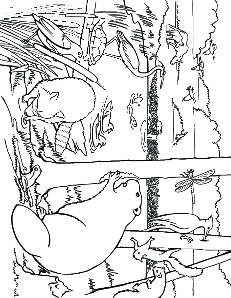 934x1200 Awesome Free Coloring Pages Of Narnia Beavers Collection Free