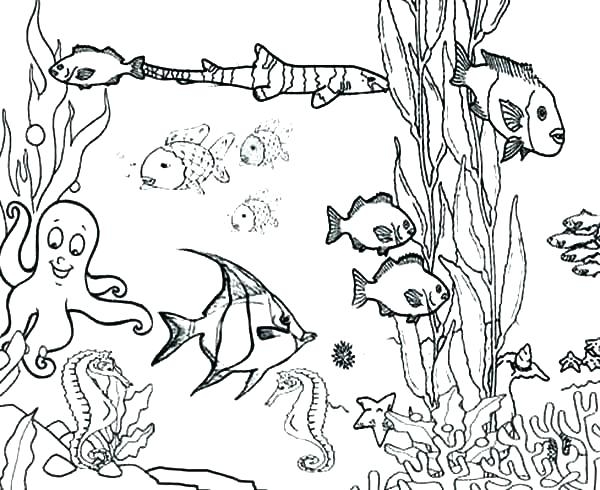 600x490 Ocean Coral Coloring Pages Coloring Pages Ocean Coral Coloring
