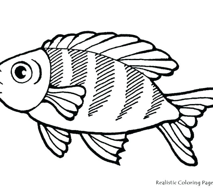678x600 Cartoon Fish Coloring Pages Ocean Fish Coloring Pages Cartoon Fish